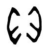 貝 词字云